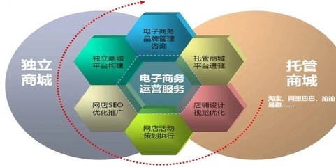 電子商務網(wǎng)站與平臺的全面推廣與精細化運營策略